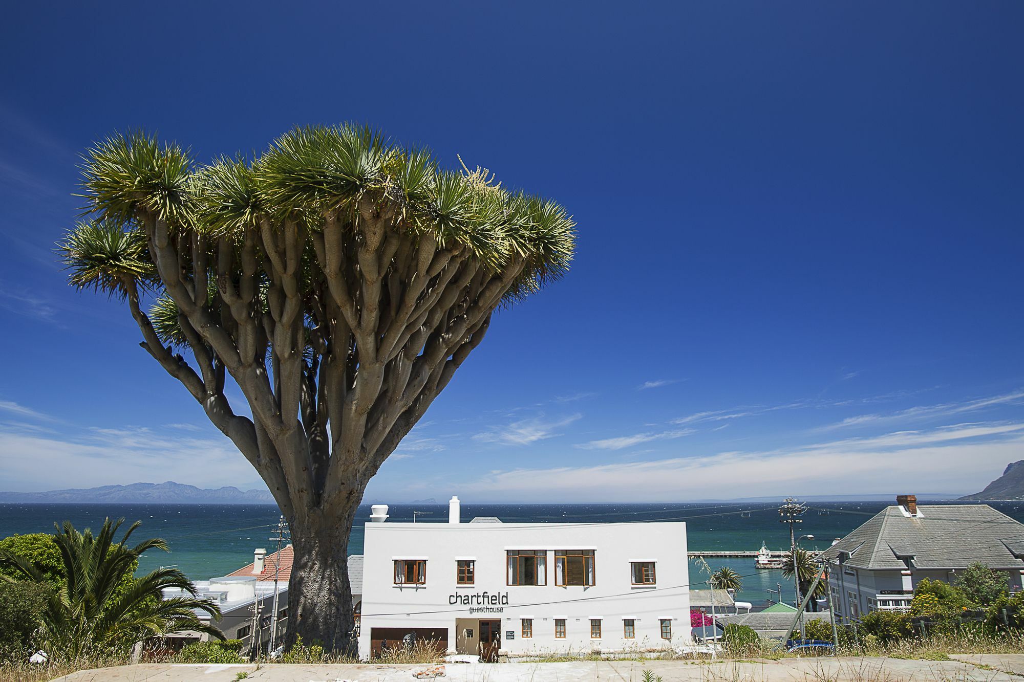 Chartfield Guesthouse Kalk Bay Exterior foto